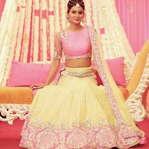 Photo of Geeta Basra at Her Wedding Mehendi Ceremony